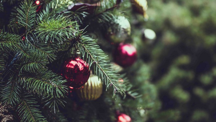 Seasonal Work Will Always Be Here, No Matter The Obstacles Everyone Has Faced