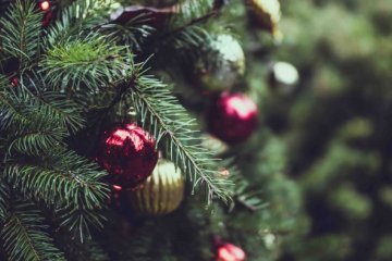 Seasonal Work Will Always Be Here, No Matter The Obstacles Everyone Has Faced